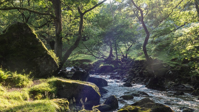 The Cwn Llan river flows by Hafod y Llan Campsite, Gwynedd